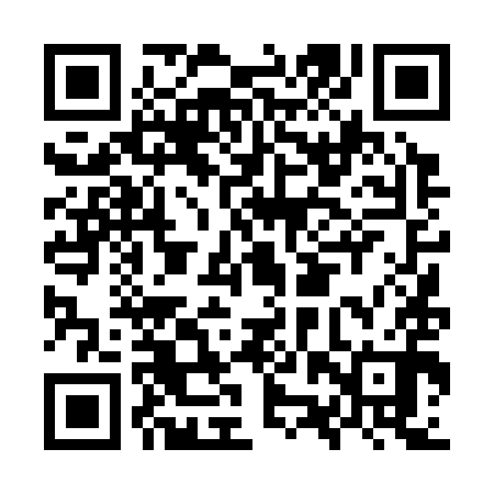 QR code for OZT390