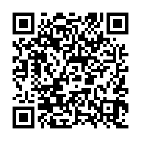 QR code for OZT541