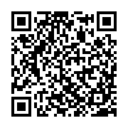 QR code for OZZ384
