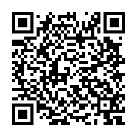 QR code for PAA013