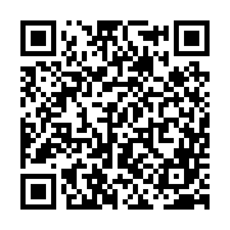 QR code for PAA246