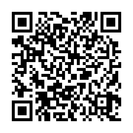 QR code for PAA328