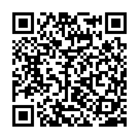 QR code for PAA369
