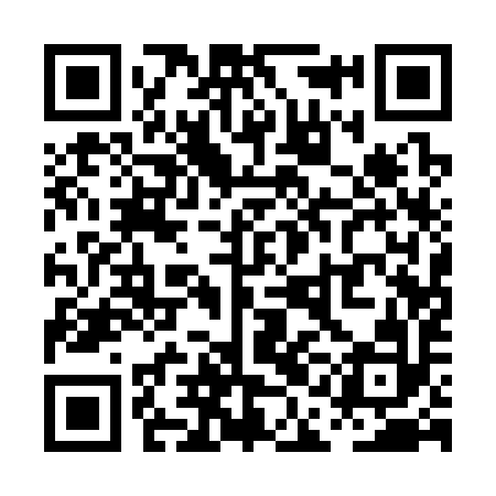 QR code for PAA392