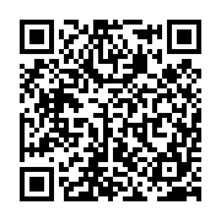 QR code for PAA454