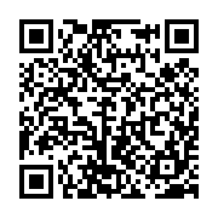 QR code for PAA494