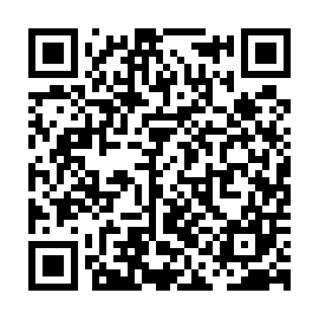 QR code for PAA507