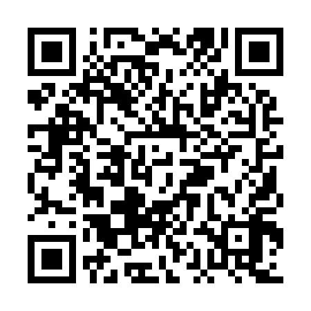 QR code for PAA918