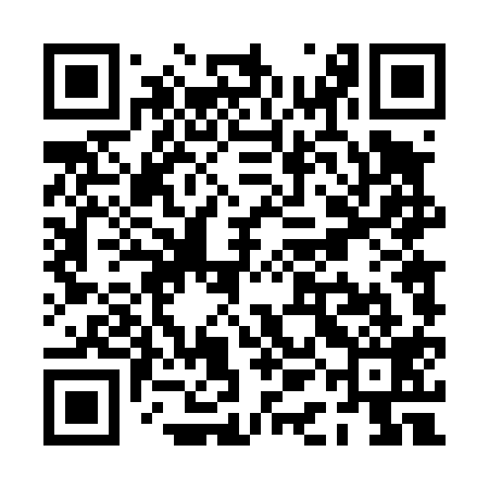 QR code for PAD419