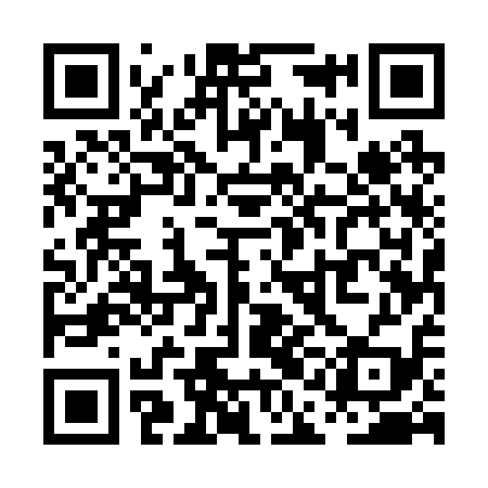 QR code for PAE219
