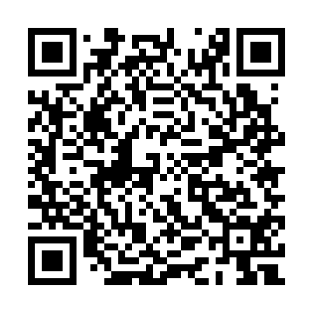 QR code for PAE314