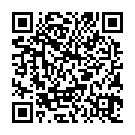 QR code for PAE325