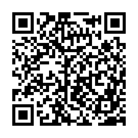 QR code for PAE366
