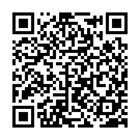 QR code for PAE388