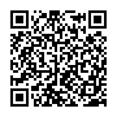 QR code for PAE552