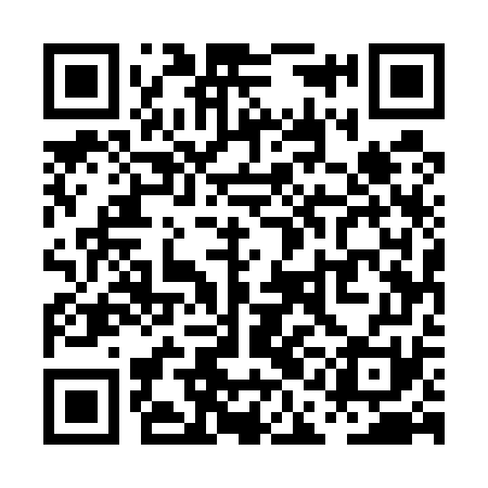 QR code for PAE571
