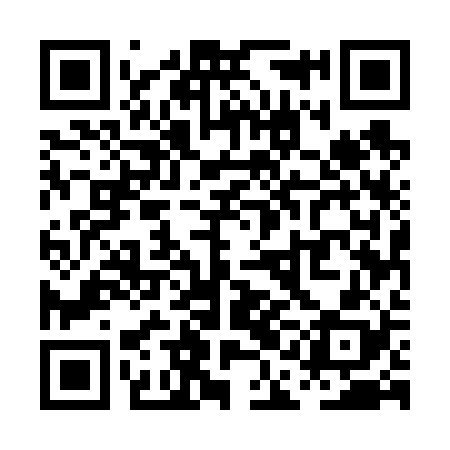 QR code for PAE628