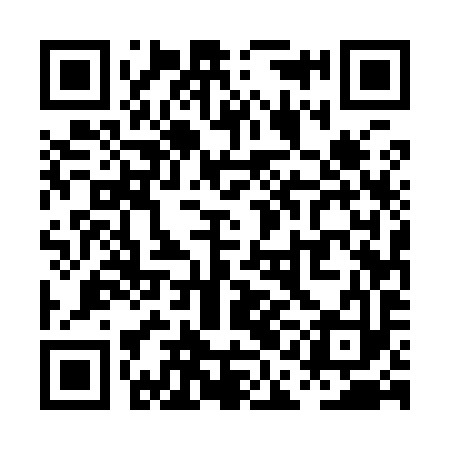 QR code for PAE993