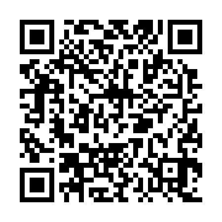 QR code for PAF333