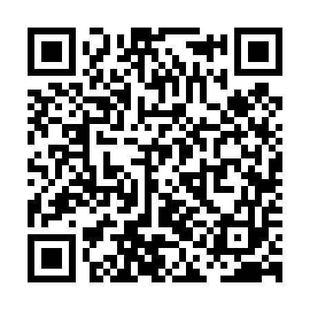 QR code for PAF453