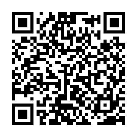 QR code for PAG237