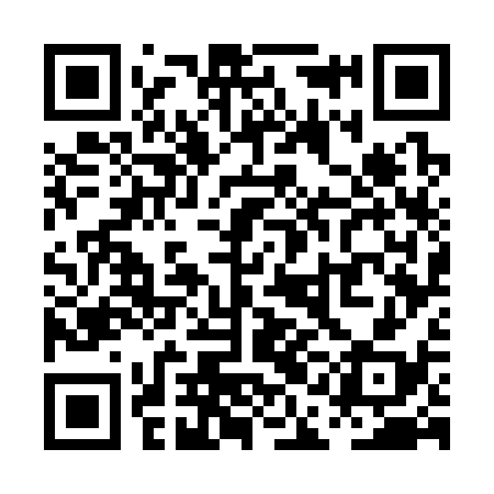 QR code for PAG338