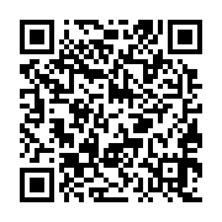 QR code for PAG355