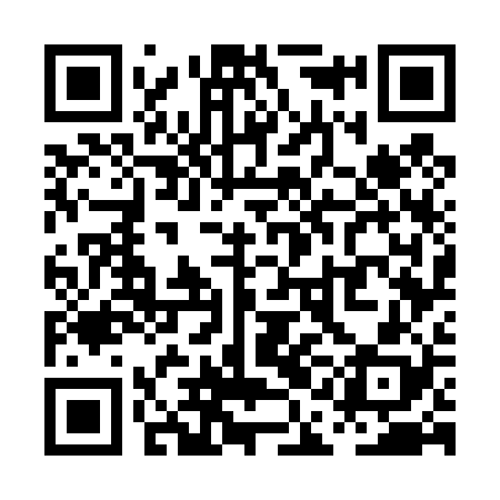 QR code for PAG428