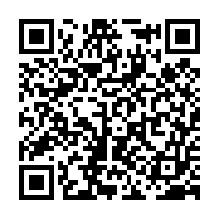 QR code for PAG453