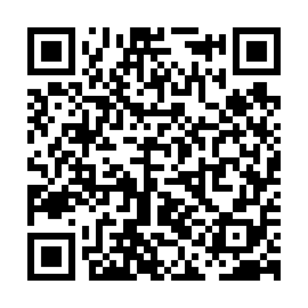 QR code for PAG658