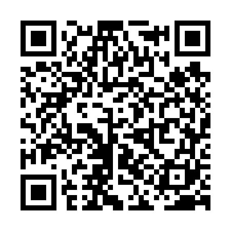 QR code for PAG661