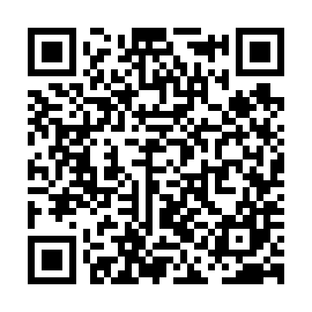 QR code for PAG687