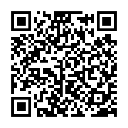 QR code for PAG698