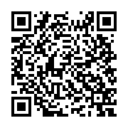 QR code for PAG737