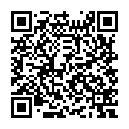 QR code for PAG919