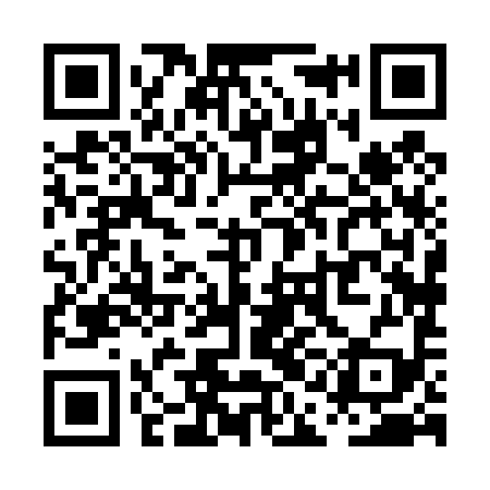 QR code for PAH499