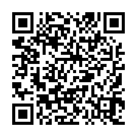 QR code for PAI010