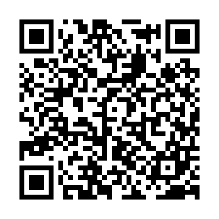 QR code for PAI207