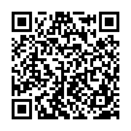 QR code for PAI226