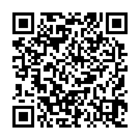 QR code for PAI303