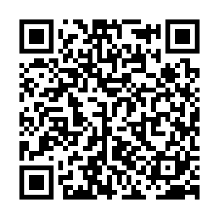QR code for PAI321
