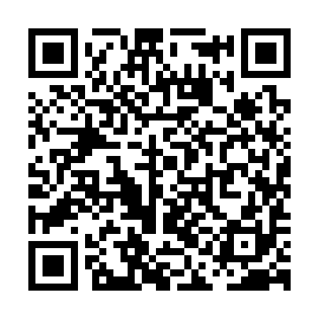 QR code for PAI390