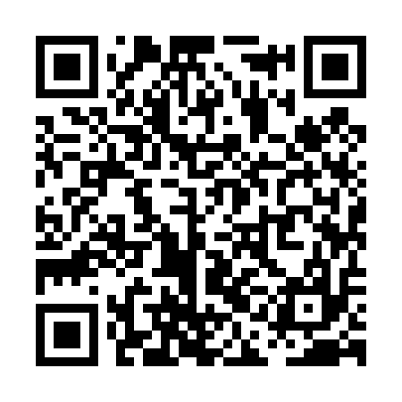 QR code for PAI417