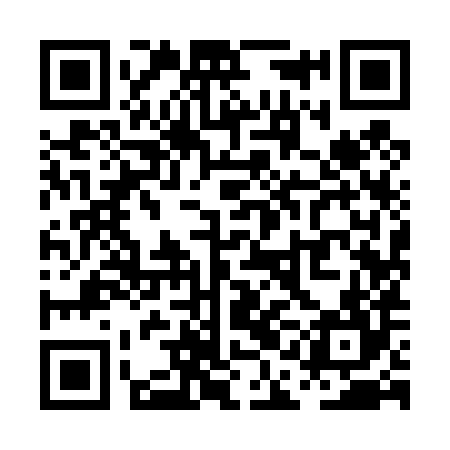 QR code for PAI484