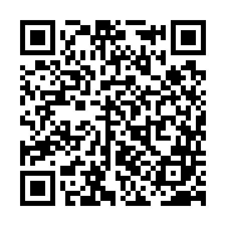 QR code for PAI742