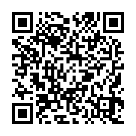 QR code for PAI933