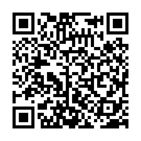 QR code for PAJ238