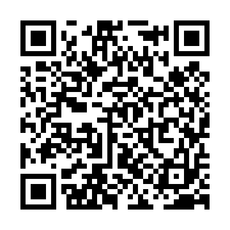 QR code for PAK413