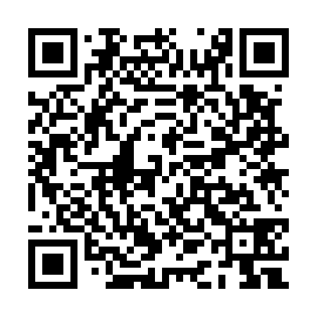 QR code for PAK538