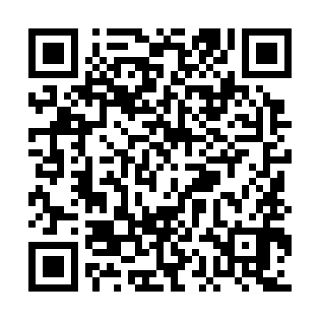 QR code for PAL390